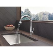 Delta Essa Pull-Down Kitchen Faucet - 9113-DST