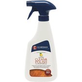 Guardsman Anytime Clean & Polish for Wood Furniture - 461300