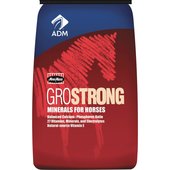 ADM GroStrong Horse Feed Supplement - 641BT