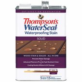 Thompson's WaterSeal Thompsons WaterSeal Solid Waterproofing Stain - TH.043841-16